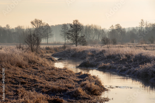 Wiosenny poranek w dolinie rzeki Narwi, Podlasie, Polska