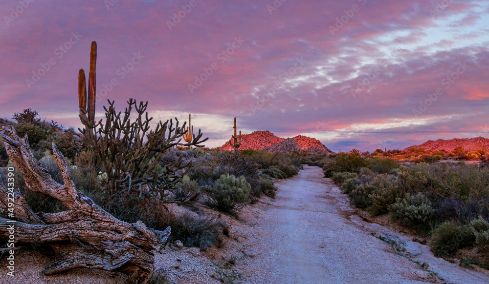 Sunset Sky & Clouds Off A Hiking Trail in the Arizona Desert Near Phoenix Sunset Sky & Clouds Off A Hiking Trail in the Arizona Desert Near Phoenix