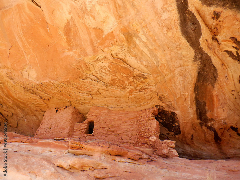 1200 year old Anasazi ruins tucked under a overhanging cliff in the Bears Ears wilderness area of Southern Utah.  