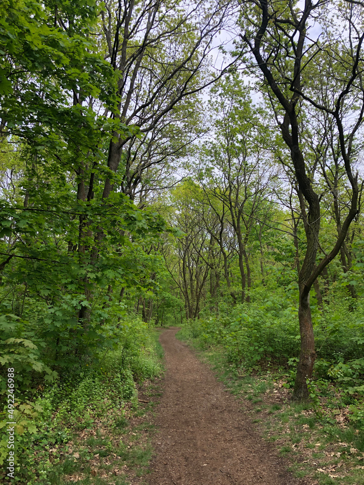 Hirschgarten, Erpe, Erpetal, Friedrichshagen, Sommer, Spaziergang Hirschgarten, Erpe, Erpetal, Friedrichshagen, Sommer, Spaziergang