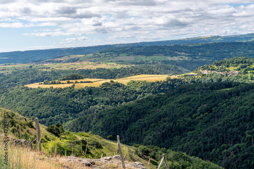 Panorama de monts d'Auvergne avec ses belles forets et ses champs jaunes par une belle journée d'été