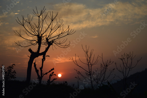 An enchanting view of the shape of trees seen from Ramadi village during sunrise. photo