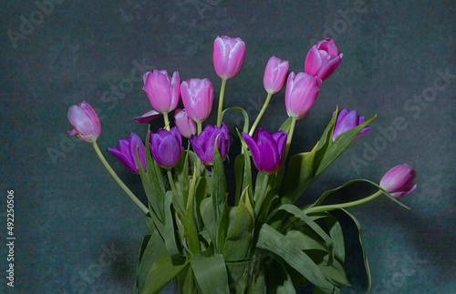 Tulpenstrauß mit rosa und lila Tulpen.