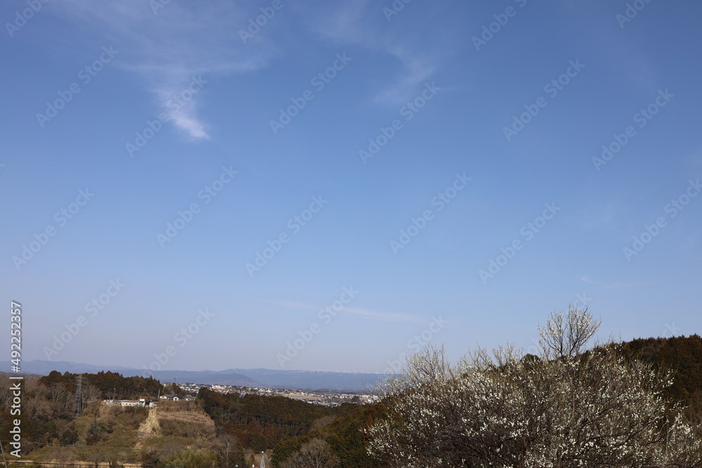 うっすらと雲と