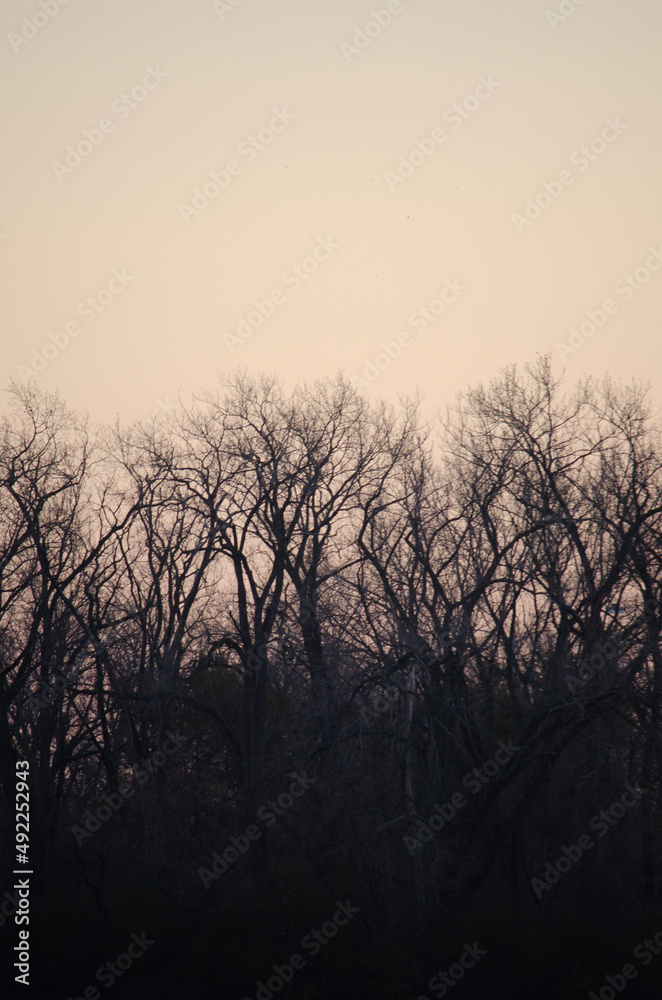 sunset in the fog sunset in the fog