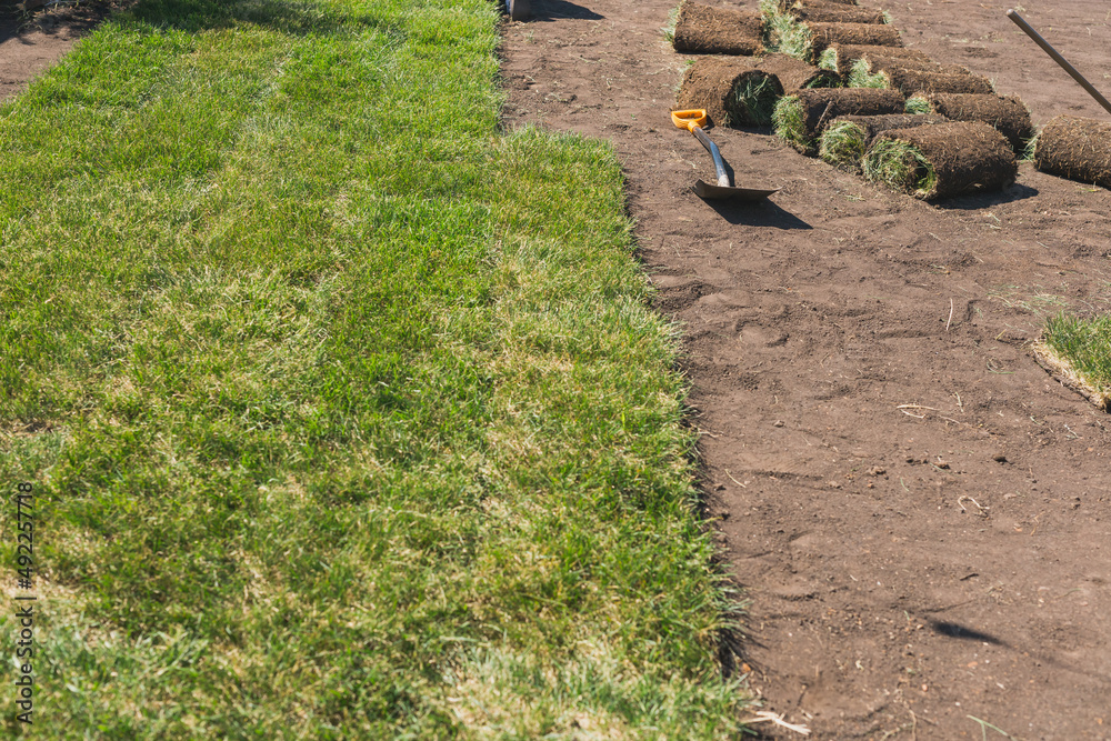 Laying sod for new garden lawn - turf laying concept Laying sod for new garden lawn - turf laying concept