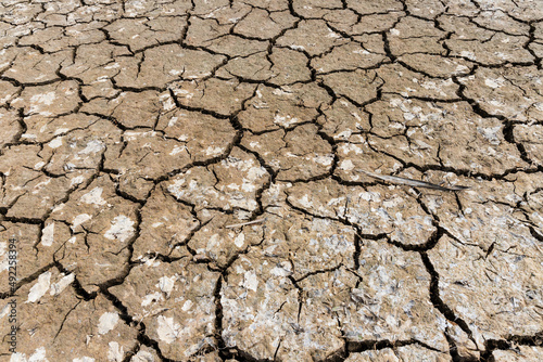 Quadro su tela Barren land, parched soil cracked by lack of rain, climate change