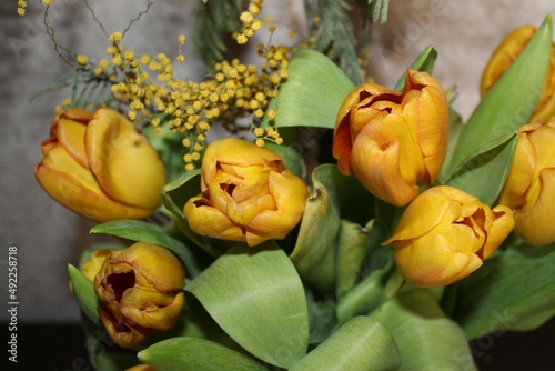 yellow tulips, eighth of march, yellow flowers, spring, spring mood, tulips spring flowers, bouquet of yellow tulips