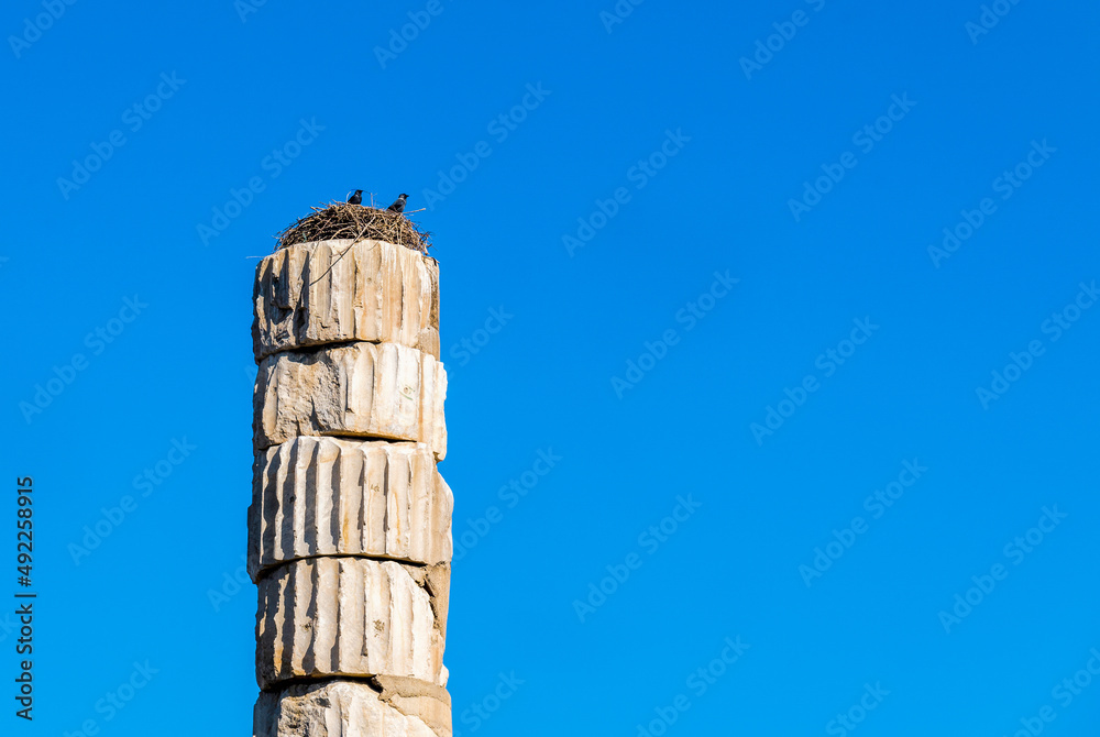 A bird's nest on top of an ancient Roman stone column