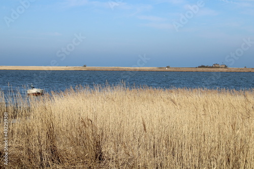Vogelschutzgebiet auf der Insel Langenwerder in der Ostsee n  rdlich von Poel  bird protection zone on the island Langenwerder in the Baltic Sea  