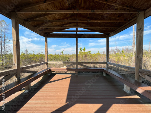 View from the trail along the Chesser Island boardwalk in Okefenokee National Wildlife Refuge near Folkston, Georgia, USA. © Joanne Dale