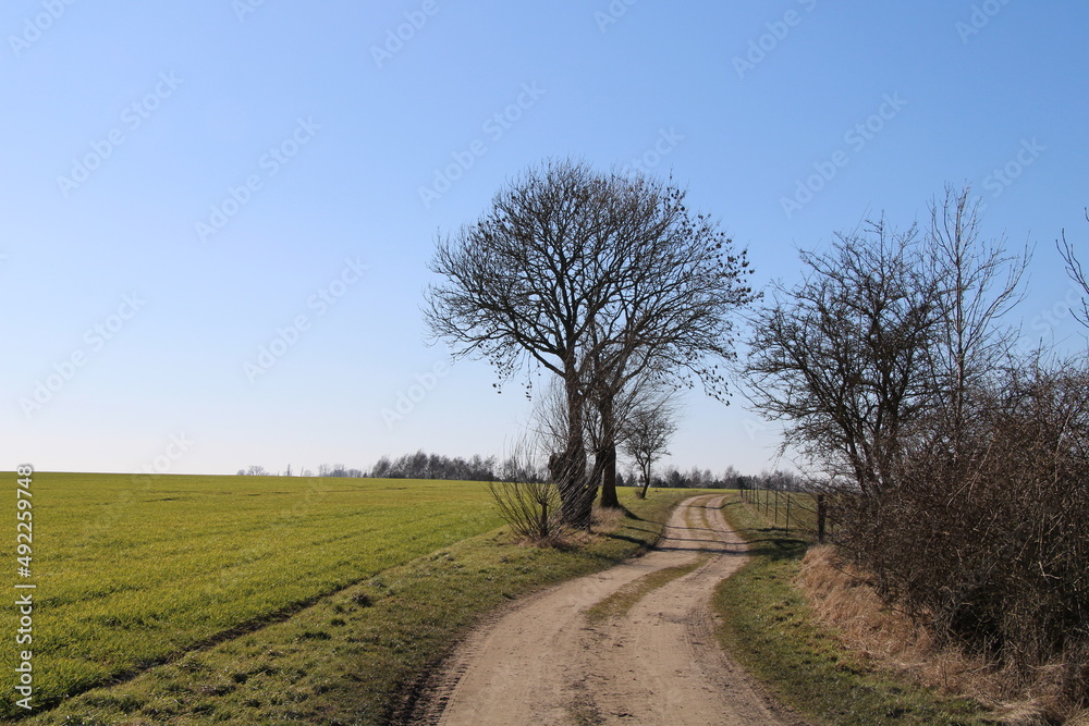 Wandern auf der Ostsee-Insel Poel (Hiking on the island Poel in the Baltic Sea) | Wanderwege auf der Insel (Hiking path on the island)