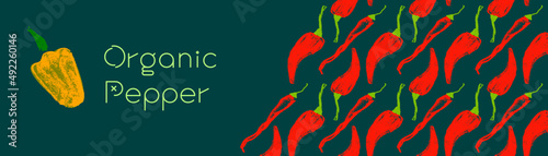 Vector hot pepper banner. Hand-drawn pattern. Peppers illustration. Pepper drawings. Red chilli background. Organic homemade vegetables. Vegan food wallpaper. Spices backdrop. Vegetarian restaurant.