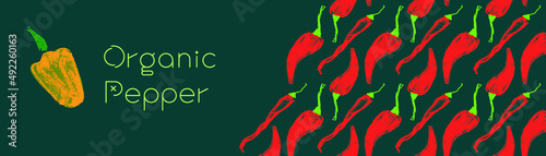 Vector hot pepper banner. Hand-drawn pattern. Peppers illustration. Pepper drawings. Red chilli background. Organic homemade vegetables. Vegan food wallpaper. Spices backdrop. Vegetarian restaurant.