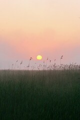 Ingelijste posters Meloenkleur Ochtendsfeer op het platteland  © Peter