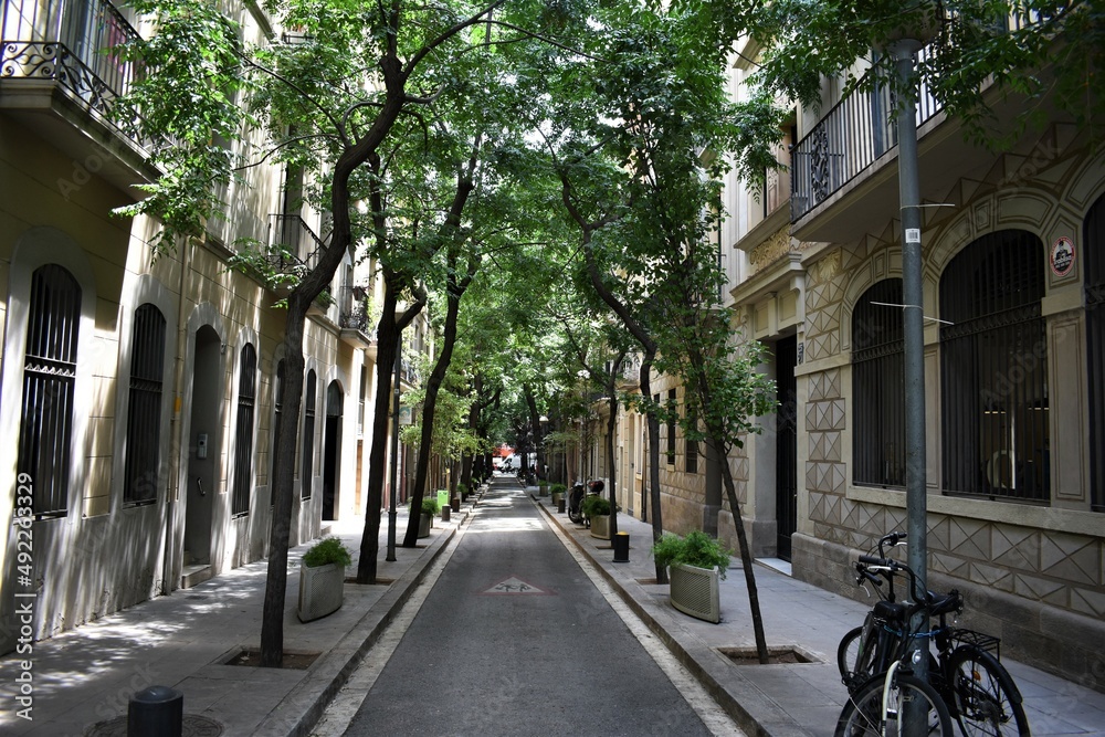 Fototapeta premium bikes in the street