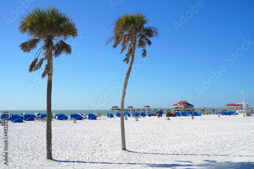  landscape of beach view with palm tree