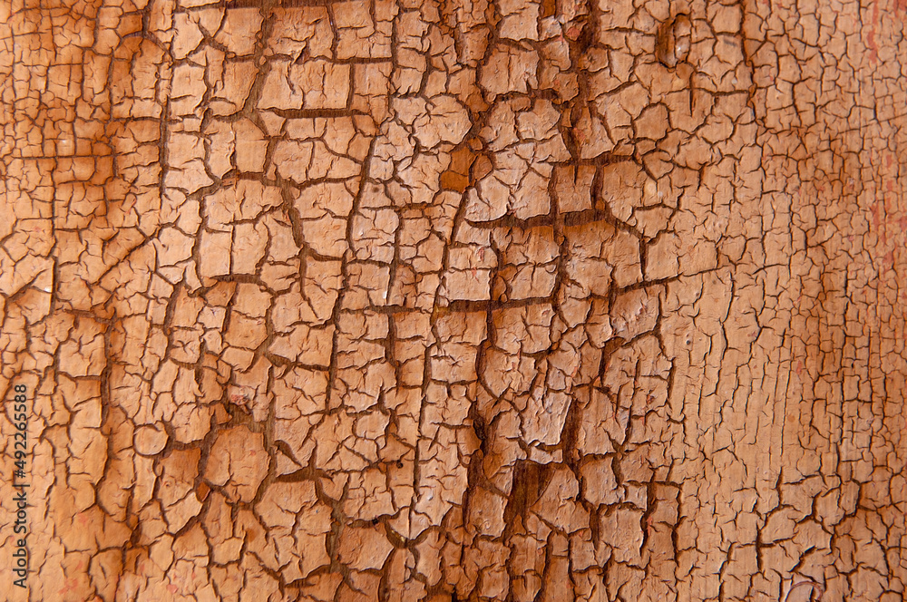 Background from wooden old boards with cracked paint. Vintage green fence texture as abstract background. Craquelure cracks. Background from wooden old boards with cracked paint. Vintage green fence texture as abstract background. Craquelure cracks.