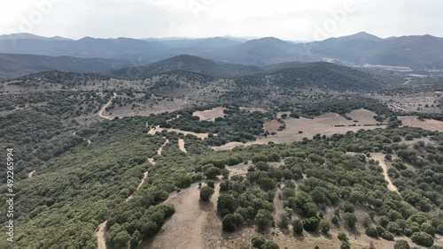 Vuelo en dron sobre bosque