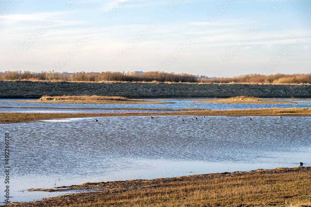 Saline lagoon at Rye Harbour nature reserve, East Sussex, England