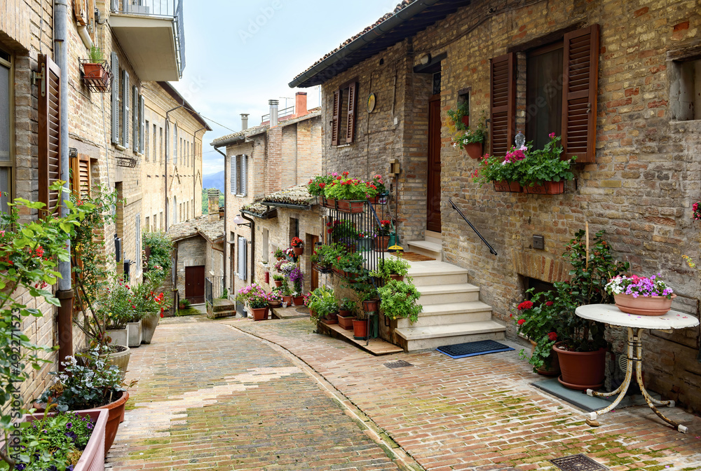 Fototapeta premium Beautiful picturesque Italian street, with flowers in flower pots. Medieval city of Urbino, Marche, Italy, UNESCO World Heritage Site.