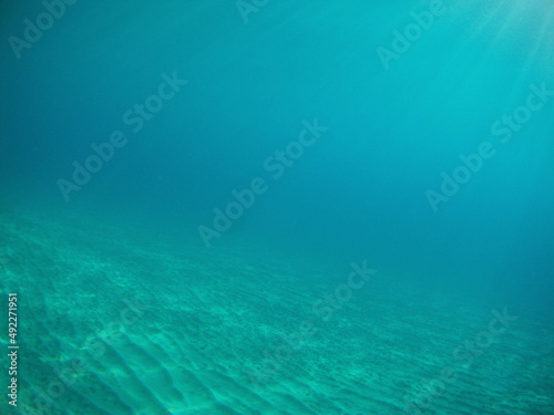 Fototapeta Naklejka Na Ścianę i Meble -  Under the water with fishes, The Red Sea, Egypt autumn
