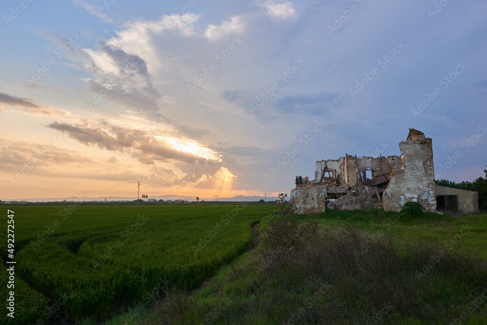 An abandoned house in the middle of a rice field under a cloudy sky