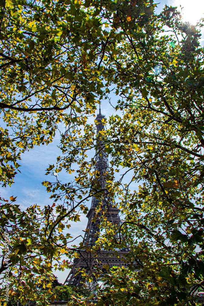 Eiffel Tower looking through leaves in Paris, France Eiffel Tower looking through leaves in Paris, France