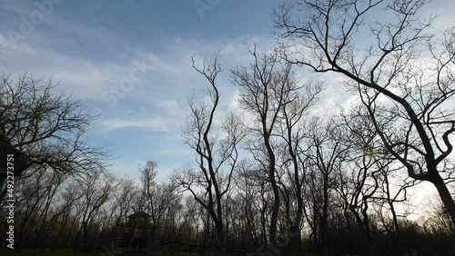 Wallpaper Mural Afternoon. Trees. Blue sky. Time lapse clouds. Torontodigital.ca