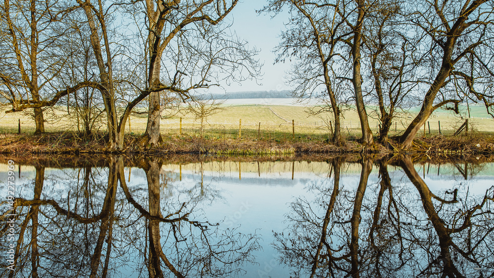 reflection of trees in the water