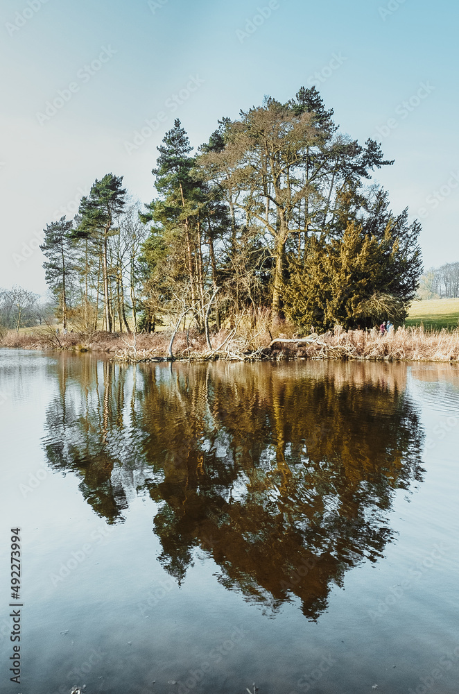 Obraz premium reflection of trees in the lake
