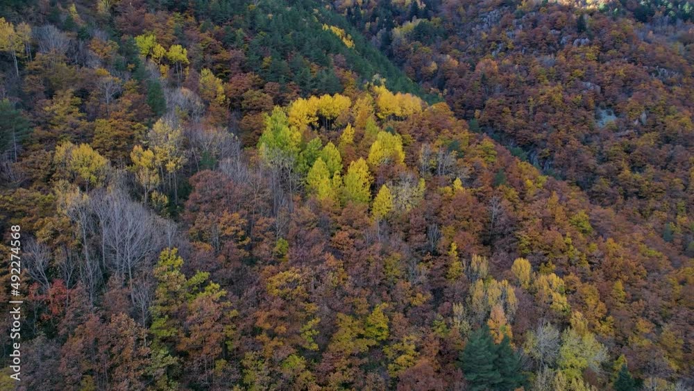 Autumn landscape in the Valley of Plan in the surroundings of the Cinqueta River. Huesca, Aragon, Spain, Europe Autumn landscape in the Valley of Plan in the surroundings of the Cinqueta River. Huesca, Aragon, Spain, Europe