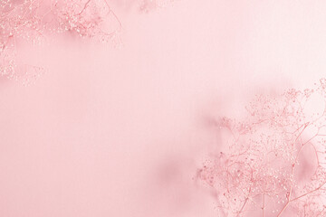 Dry pink flowers gypsophila on pink background. Flat lay, top view, copy space