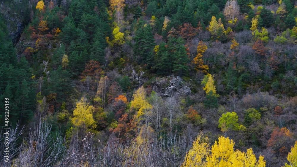 Autumn landscape in the Valley of Plan in the surroundings of the Cinqueta River. Huesca, Aragon, Spain, Europe Autumn landscape in the Valley of Plan in the surroundings of the Cinqueta River. Huesca, Aragon, Spain, Europe