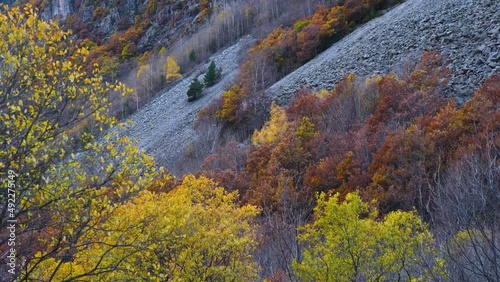 Autumn landscape in the Valley of Plan in the surroundings of the Cinqueta River. Huesca, Aragon, Spain, Europe photo