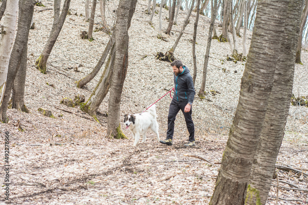 man walking with her dog in forest Stock Photo | Adobe Stock