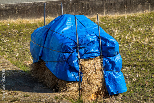 Freshly harvested hay covered with blue tarp on small farm