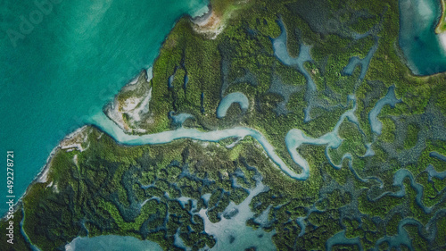 carolina tributary 