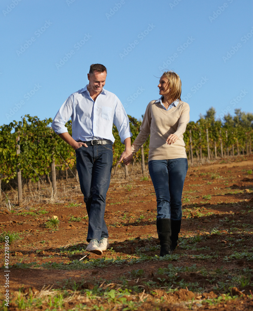 Enjoying a stroll through the vineyards. A mature wine maker and his wife taking a stroll through the vineyard. Enjoying a stroll through the vineyards. A mature wine maker and his wife taking a stroll through the vineyard.