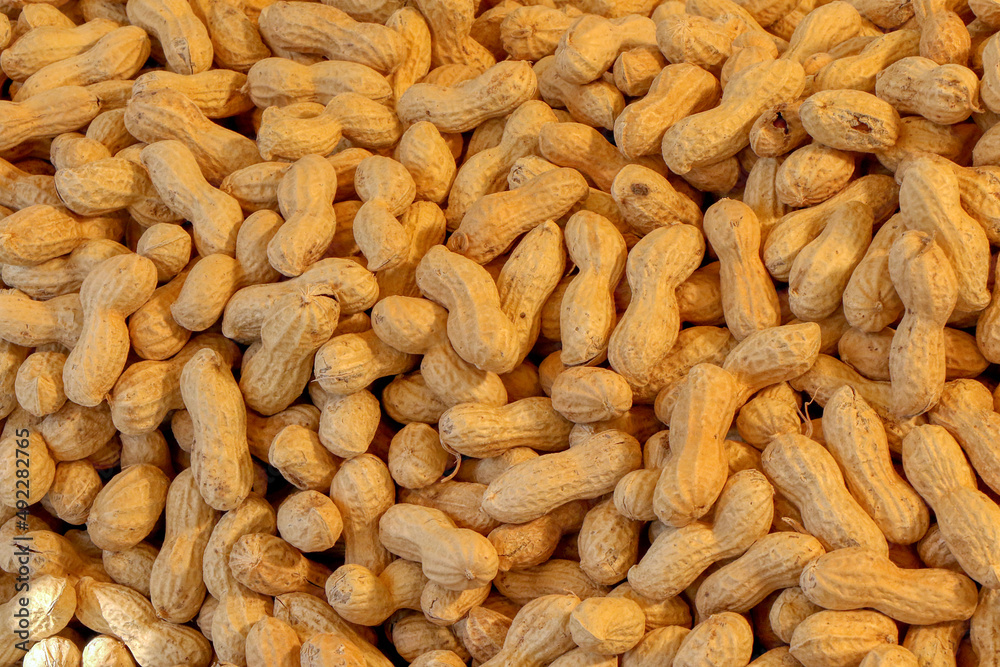 Macro background texture of peanuts Macro background texture of peanuts