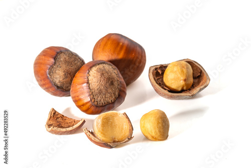 Hazelnuts in the shell. Round filbert, ripe fruit of a Corylus avellana hazel shrubs.