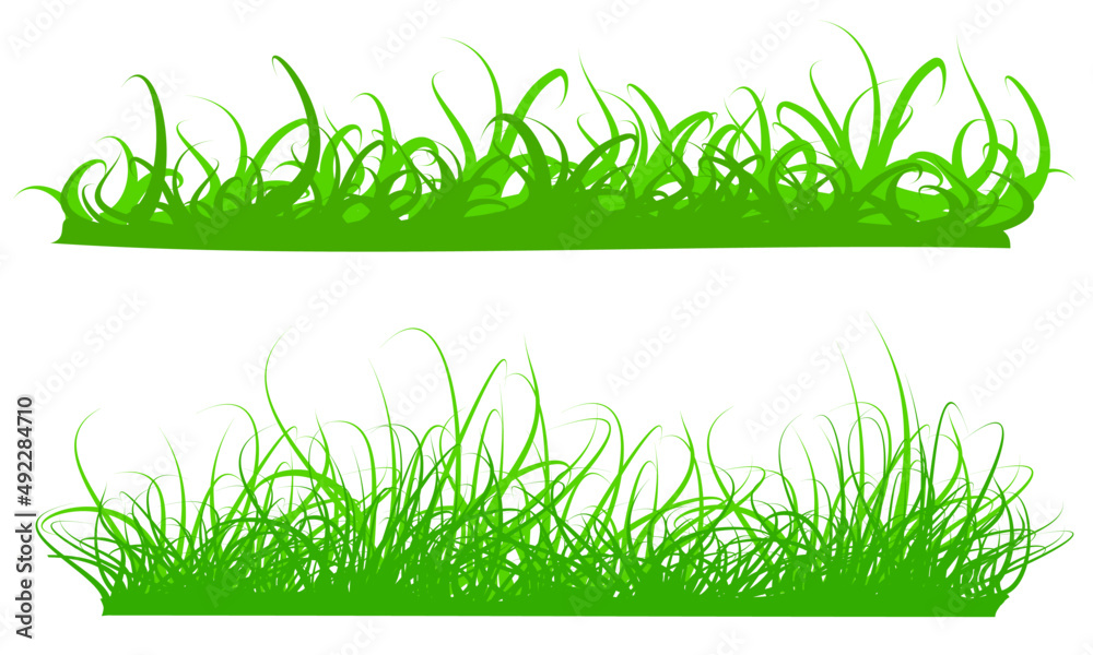 Fototapeta premium green grass vector