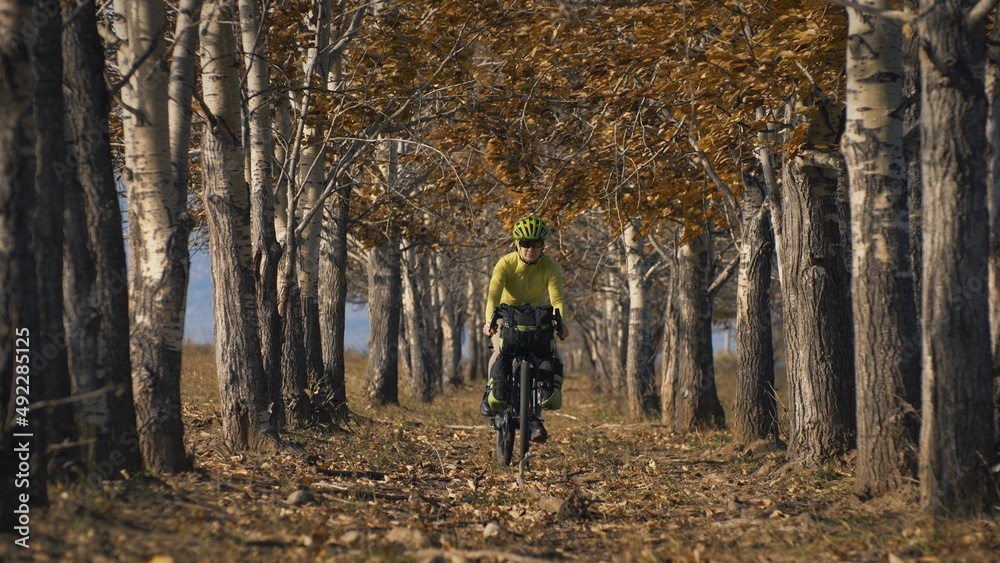 The woman travel on mixed terrain cycle touring with bikepacking. The traveler journey with bicycle bags. Sportswear in green black colors. The trip in magical autumn forest, arch, alley, avenue. The woman travel on mixed terrain cycle touring with bikepacking. The traveler journey with bicycle bags. Sportswear in green black colors. The trip in magical autumn forest, arch, alley, avenue.