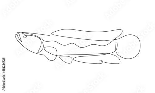 Continuous single line drawing, giant snake head fish or channa, simple concept for sign or icon and t-shirt printing. vector illustration.