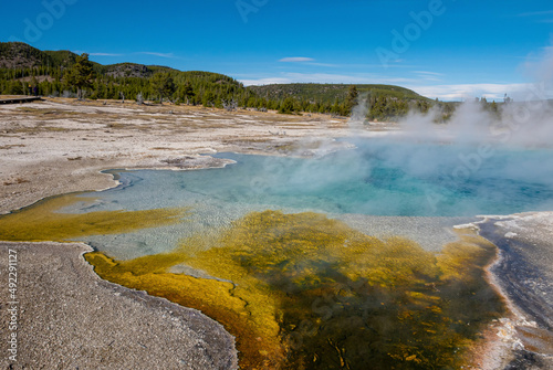 Geothermal hot springs in Yellowstone National Park