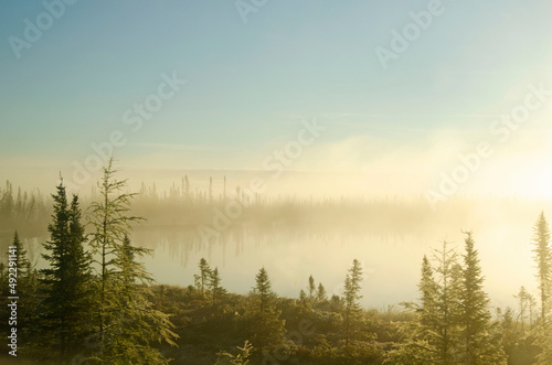 Fototapeta Naklejka Na Ścianę i Meble -  Morning mist in the field