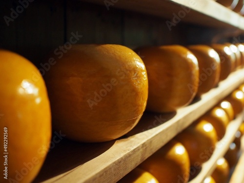 Cheese wheels in storage