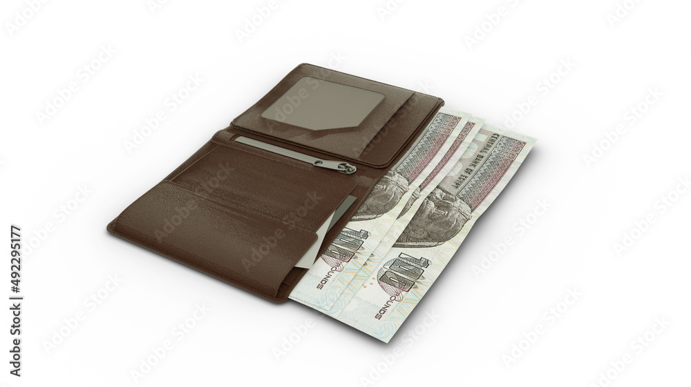 3D rendering of Egyptian pound notes in wallet 3D rendering of Egyptian pound notes in wallet