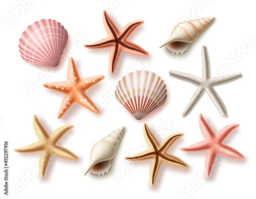 Summer seashells vector set. Beach sea shells collection and assorted aquatic objects isolated in white background for design elements. Vector illustration. 