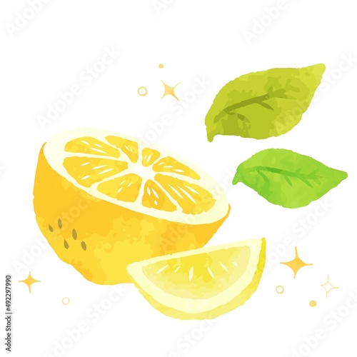 爽やかで綺麗なレモンのイラスト素材
